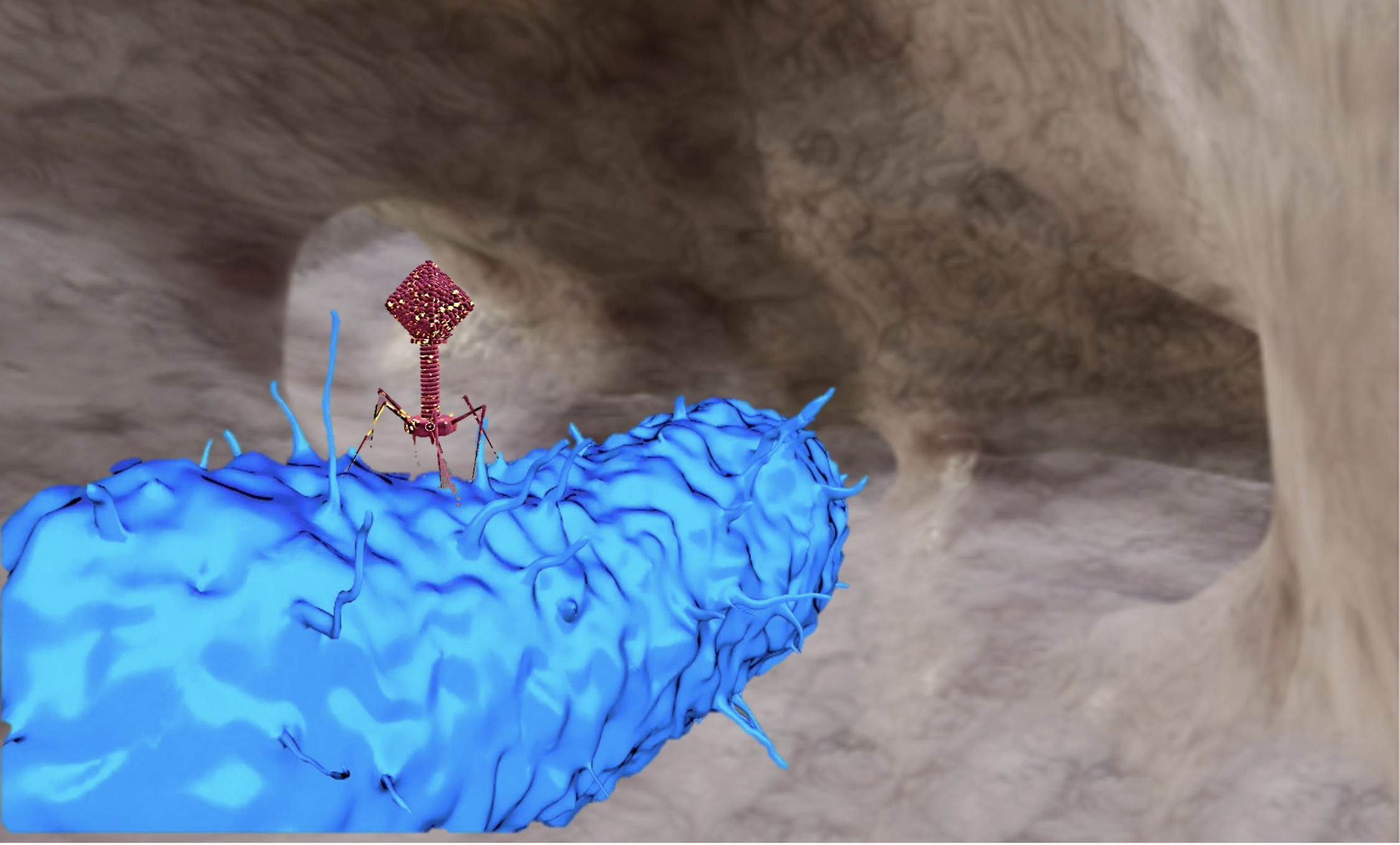 Virtual Reality Phages